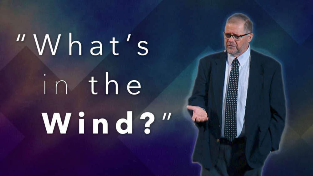 What\'s in the Wind?