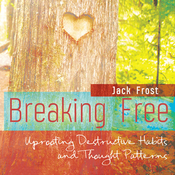 Breaking Free Living Hope Support Group, Central Community Church, Wichita, KS